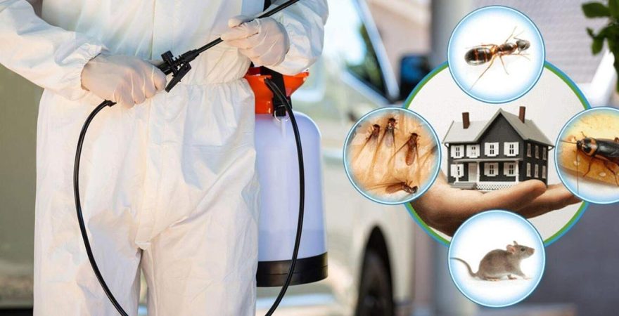 Bahçe Böcek İlaçlama